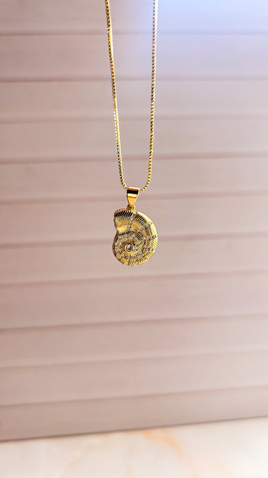 Collar caracola